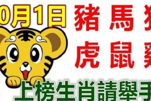 10月1日生肖運勢_豬、馬、狗大吉