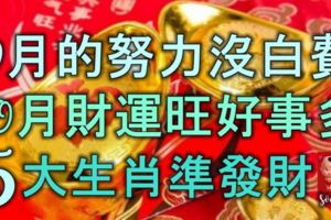 9月的努力沒有白費，10月財運旺好事多，5大生肖人準發財！