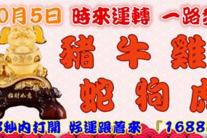 10月5日時來運轉一路發，豬牛雞蛇狗虎，88秒內打開，好運跟著來『16888』