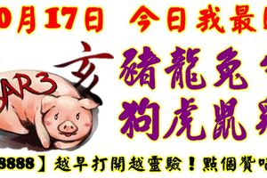 10月17日，今日我最旺！豬龍兔牛狗虎鼠雞！【98888】越早打開越靈驗！點個讚吧！