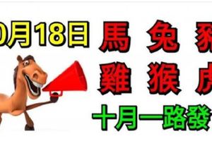 10月18日生肖運勢_馬、兔、豬大吉