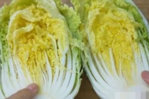 大白菜的營養價值的食療作用，做辣白菜的時候，加入2種「水果」，更好吃還有果香味