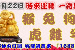 10月22日時來運轉一路發，猴兔狗虎雞牛，88秒內打開，好運跟著來『16888』