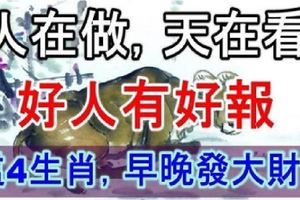 【人在做，天在看】這4生肖之人，好人有好報，早晚發大財