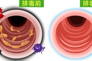 不喝飲料只喝水！9個你不知道身體上發生的神奇變化　網友實測：是真的！像魔法一樣