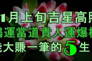 11月上旬吉星高照，鴻運當道，貴人運爆棚，能大賺一筆的5大生肖！​​​​​​​