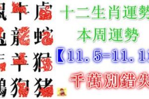 十二生肖運勢：本周運勢【11.5-11.11】千萬別錯失！