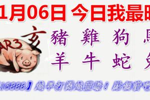 11月06日，今日我最旺！豬雞狗馬羊牛蛇兔！【16888】越早打開越靈驗！點個讚吧！