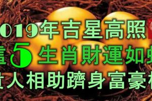 2019年吉星高照，這5大生肖財運如虹，貴人相助，躋身富豪榜！