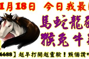 11月18日，今日我最旺！馬蛇龍豬猴兔龍雞！【66688】越早打開越靈驗！點個讚吧！