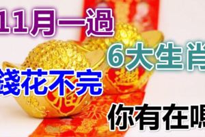 11月一過，6大生肖，錢多的花不完。你有在嗎？