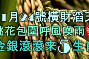 11月24號橫財滔天，桃花包圍，呼風喚雨，金銀滾滾數不盡的5大生肖，一富富足十年！