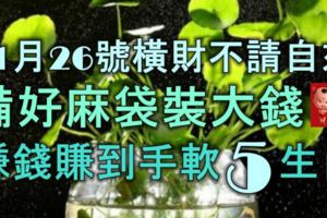 11月26號橫財不請自來，備好麻袋裝大錢，賺錢賺到手軟的5大生肖！