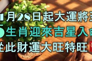 11月28日起大運將至，這5大生肖將迎來吉星入命，從此財運大旺特旺！