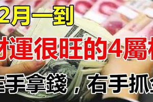 12月一到，左手拿錢，右手抓金的4屬相，財神就在你身邊！