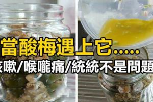 【自家酸梅橘子】喉嚨痛，咳嗽統統不是問題