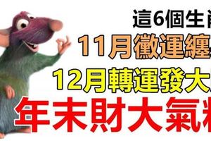 這6個生肖，11月黴運纏身，12月轉運發大財，年末財大氣粗