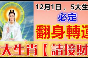 12月1日，5大生肖必定翻身轉運，5大生肖【請接財】