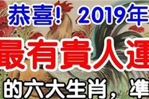 恭喜！2019年最有貴人運的六大生肖，凖！