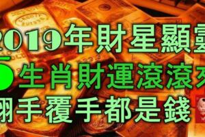 2019年財星顯靈，5生肖財運滾滾來，翻手覆手都是錢！