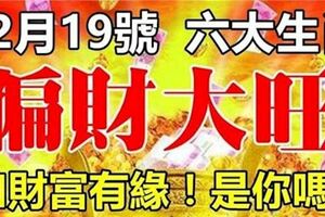 12月19號開始，這六大生肖，正財順、偏財旺，和財富有緣