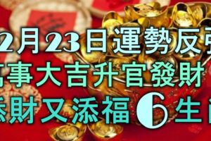 12月23日起運勢反彈，萬事大吉，陞官發財，添財又添福的6大生肖！