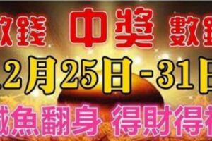 12月25-31日七天裡財神送錢，鹹魚翻身財運亨通，數錢過日子的生肖