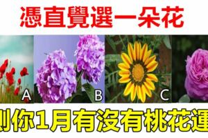 趣味測試：憑直覺選一朵花，測你1月有沒有桃花運？