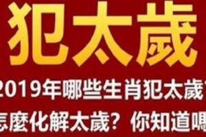 2019犯太歲生肖出爐