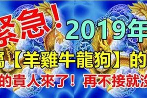 2019年，屬【羊雞牛龍狗】的人，貴人扶吉星照