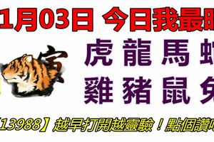 01月03日，今日我最旺！虎龍馬蛇雞豬鼠兔！【13988】越早打開越靈驗！點個讚吧！