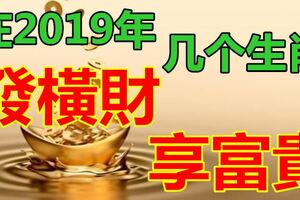 這幾個生肖，在2019年裡，將會發橫財，享富貴