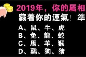 測試：心誠則靈，測12生肖2019年整體大運