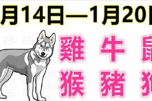 12生肖一周運勢（1月14日—1月20日）