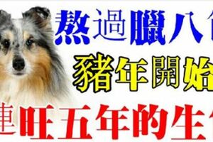 過了臘八就是年！1月13日開始「連旺五年」的生肖！