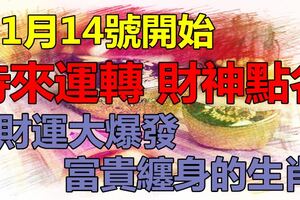 1月14號開始時來運轉，財神點名，財運大爆發，富貴纏身的生肖