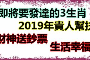 即將要發達的3生肖，2019年貴人幫扶，財神送鈔票，生活幸福