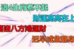 這4生肖惹不起，財運高高在上，喜迎八方鴻運財，遲早咸魚翻身！