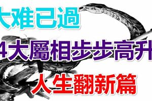 大難已過，4大屬相步步高升，人生翻新篇