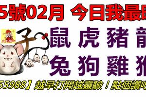 15號02月，今日我最旺！鼠虎豬龍兔狗雞猴！【55988】越早打開越靈驗！點個讚吧！