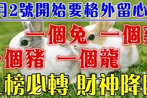 3月2號開始要格外留心了，一個兔，一個雞，一個豬，一個龍~必須轉啊