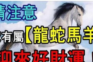 請注意，家有屬【龍蛇馬羊】的人，迎來好財運！