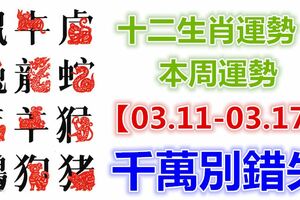 十二生肖運勢：本周運勢【03.11-03.17】千萬別錯失！