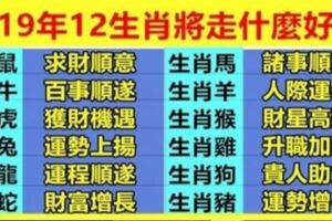 2019年，12生肖將走什麼好運？