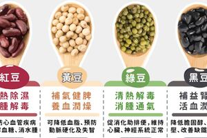 健康「豆」陣吃，4種豆類功效禁忌一次收藏