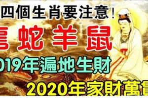 2019年遍地生財，2020年家財萬貫，身邊有的也跟著沾福氣