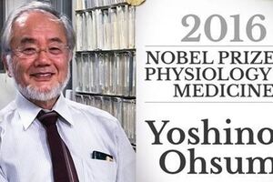 日本諾貝爾獎得主發現身體細胞會「自體吞噬」！適時「餓肚子」反而讓身體更健康！