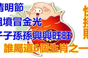 清明節，祖墳冒金光，子子孫孫興興旺旺！誰屬這6個生肖之一，快接財