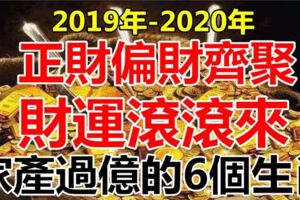 2019-2020年，正財偏財齊聚，財運滾滾來，6個生肖家產過億