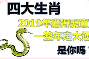 2019年獲得聚寶盆一整年都能走大運的四大生肖，是你嗎？